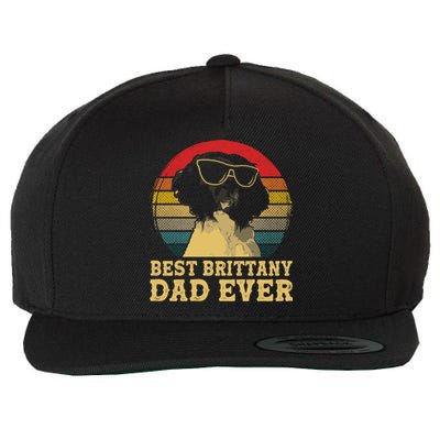 Vintage Best Brittany Dad Ever Dog Lovers Funny Gift Wool Snapback Cap