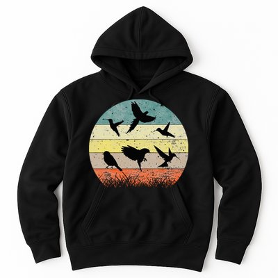 Vintage Birding Bird Watching Bird Watcher Bird Hoodie