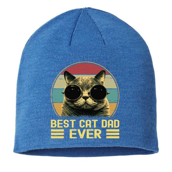 Vintage Best Cat Dad Ever Funny Cat Daddy Father Day Sustainable Beanie