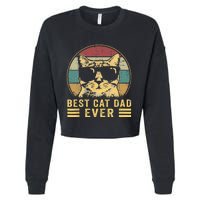 Vintage Best Cat Dad Ever Bump Fi Funny Fathers Day Cropped Pullover Crew