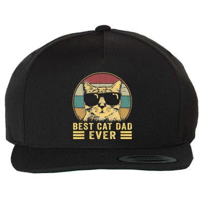 Vintage Best Cat Dad Ever Bump Fi Funny Fathers Day Wool Snapback Cap