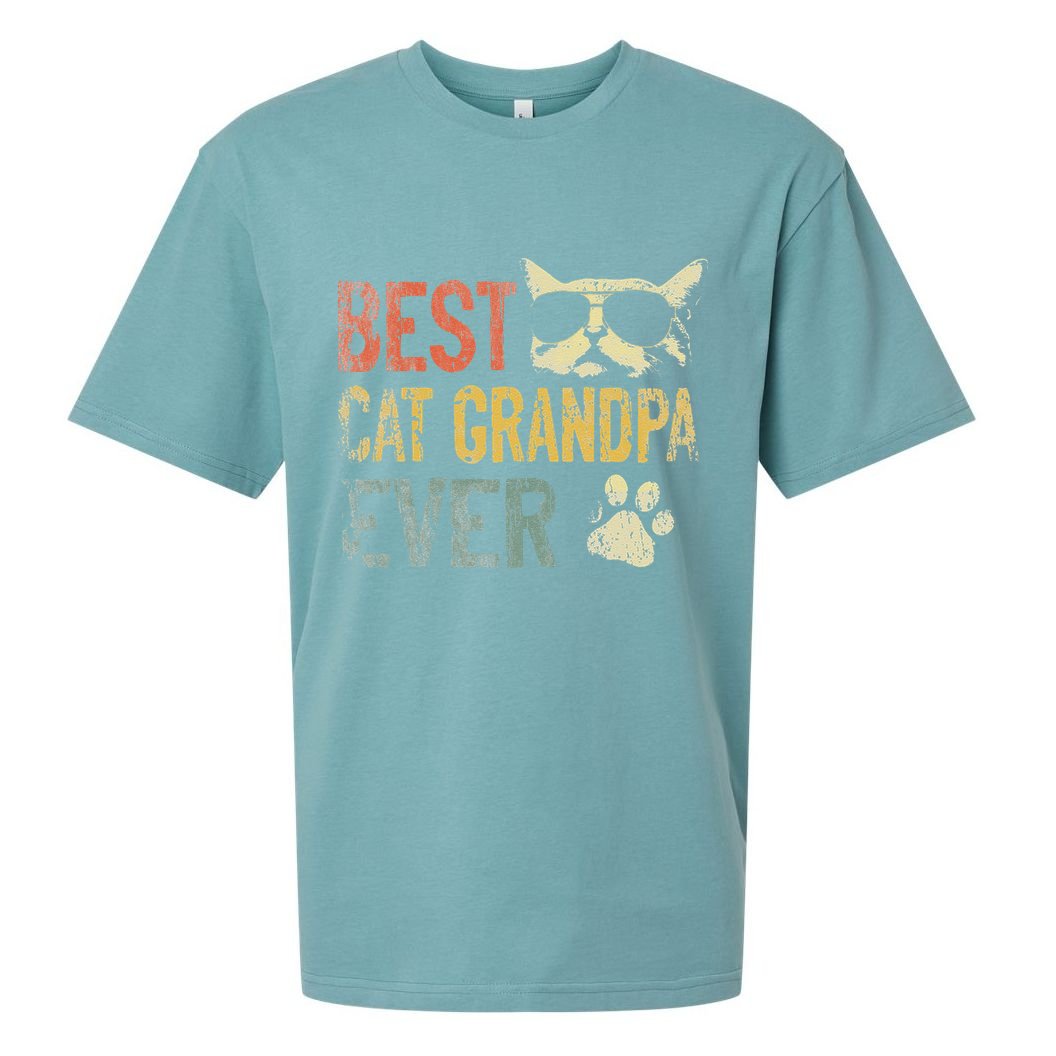 Vintage Best Cat Grandpa Ever Cat Grandpa Fathers D Sueded Cloud Jersey T-Shirt