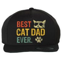 Vintage Best Cat Dad Ever Cat Daddy Gift shirt Wool Snapback Cap