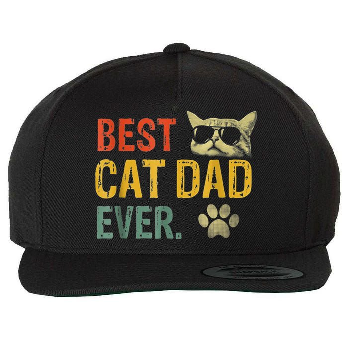 Vintage Best Cat Dad Ever Cat Daddy Gift shirt Wool Snapback Cap