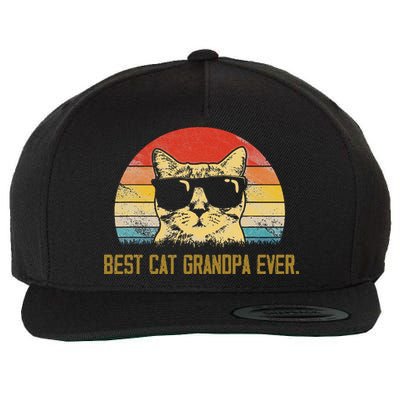 Vintage Best Cat Grandpa Ever Cat Grandpa Fathers Day Wool Snapback Cap