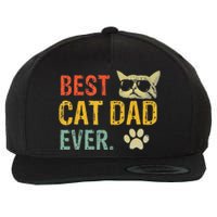 Vintage Best Cat Dad Ever  Cat Daddy Gift Wool Snapback Cap