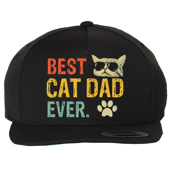 Vintage Best Cat Dad Ever  Cat Daddy Gift Wool Snapback Cap