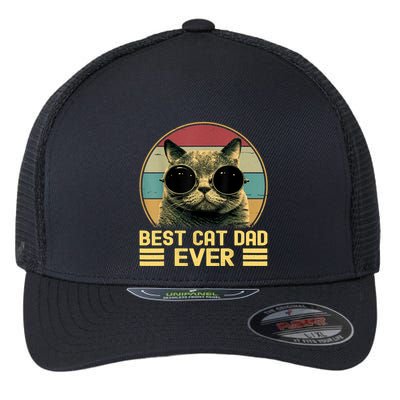 Vintage Best Cat Dad Ever Funny Cat Lover, Cat Dad Flexfit Unipanel Trucker Cap