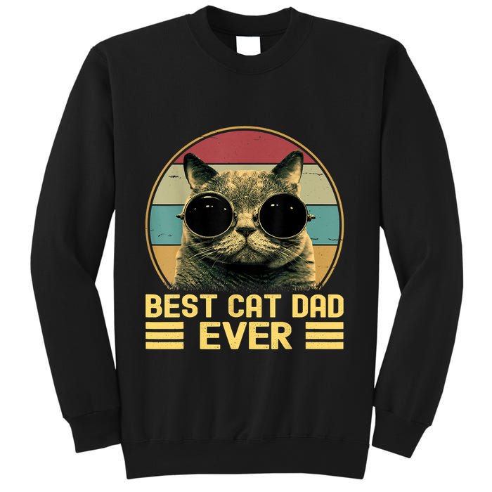 Vintage Best Cat Dad Ever Funny Cat Lover, Cat Dad Sweatshirt