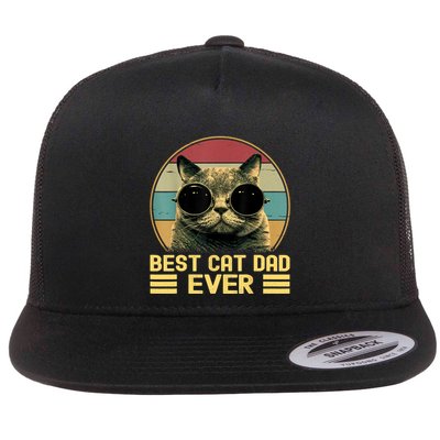 Vintage Best Cat Dad Ever Funny Cat Lover, Cat Dad Flatbill Hat