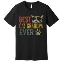 Vintage Best Cat Grandpa Ever TShirt Cat Grandpa Father's D TShirt Premium T-Shirt