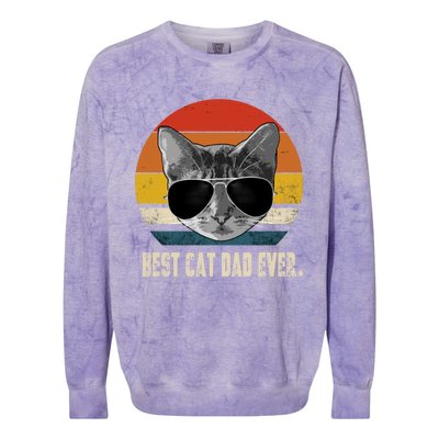 Vintage Best Cat Dad Ever Retro Cat Daddy FatherS Day Colorblast Crewneck Sweatshirt