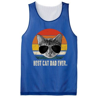 Vintage Best Cat Dad Ever Retro Cat Daddy FatherS Day Mesh Reversible Basketball Jersey Tank