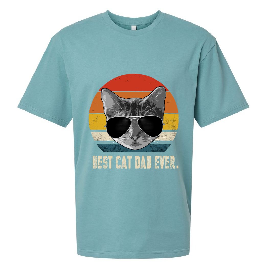Vintage Best Cat Dad Ever Retro Cat Daddy FatherS Day Sueded Cloud Jersey T-Shirt