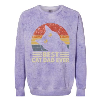 Vintage Best Cat Dad Ever Cat Daddy Outfit Colorblast Crewneck Sweatshirt