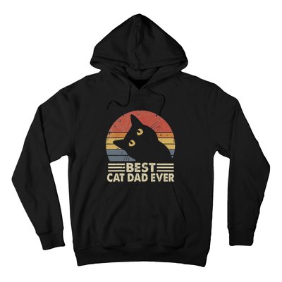 Vintage Best Cat Dad Ever Cat Daddy Outfit Hoodie