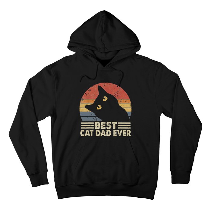 Vintage Best Cat Dad Ever Cat Daddy Outfit Hoodie