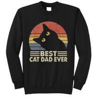 Vintage Best Cat Dad Ever Cat Daddy Outfit Sweatshirt