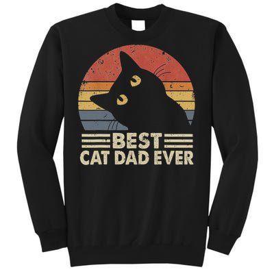 Vintage Best Cat Dad Ever Cat Daddy Outfit Tall Sweatshirt