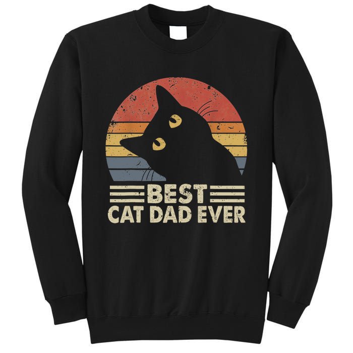 Vintage Best Cat Dad Ever Cat Daddy Outfit Tall Sweatshirt