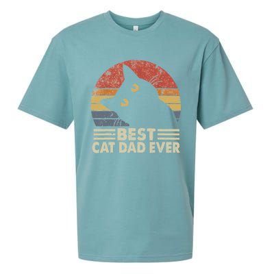 Vintage Best Cat Dad Ever Cat Daddy Outfit Sueded Cloud Jersey T-Shirt