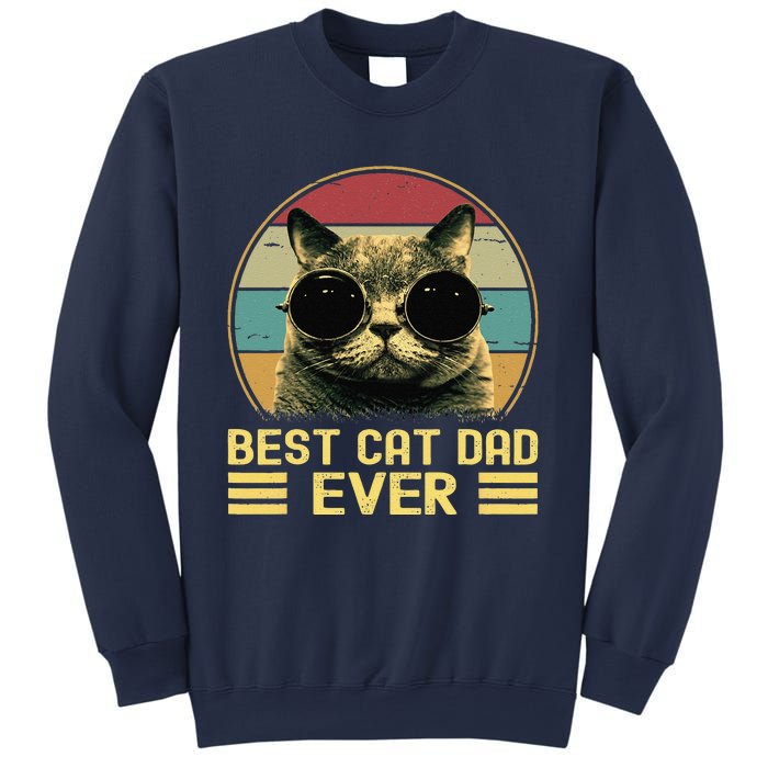 Vintage Best Cat Dad Ever Funny, Cat Lover, Cat Dad Sweatshirt