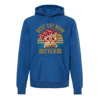 Vintage Best Cat Mom Ever Cat With Red Bandana Red Glasses Great Gift Premium Hoodie