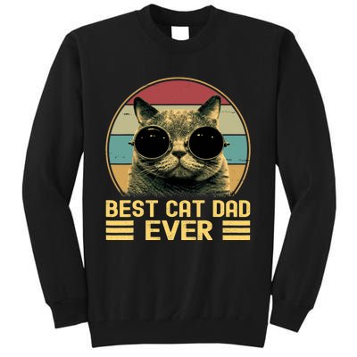 Vintage Best Cat Dad Ever Funny For Cat Lover, Cat Dad Tall Sweatshirt