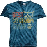 Vintage Best Cat Grandpa Ever Shirt Cat Grandpa Father's Day Kids Tie-Dye T-Shirt