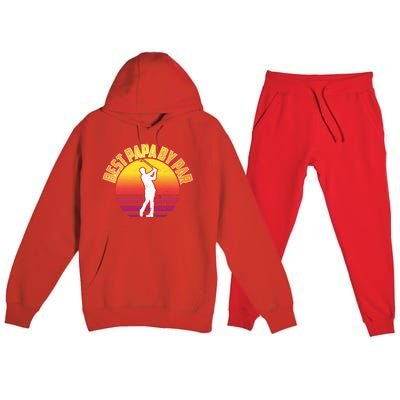 Vintage Best Dad By Par Funny Golf Lovers Gift FatherS Day Gift Premium Hooded Sweatsuit Set