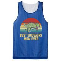 Vintage Best Dinosaurs Mom Ever Gift Mesh Reversible Basketball Jersey Tank