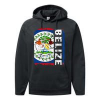 Vintage Belizean Flag Belize Pride Roots Heritage Performance Fleece Hoodie