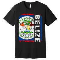 Vintage Belizean Flag Belize Pride Roots Heritage Premium T-Shirt