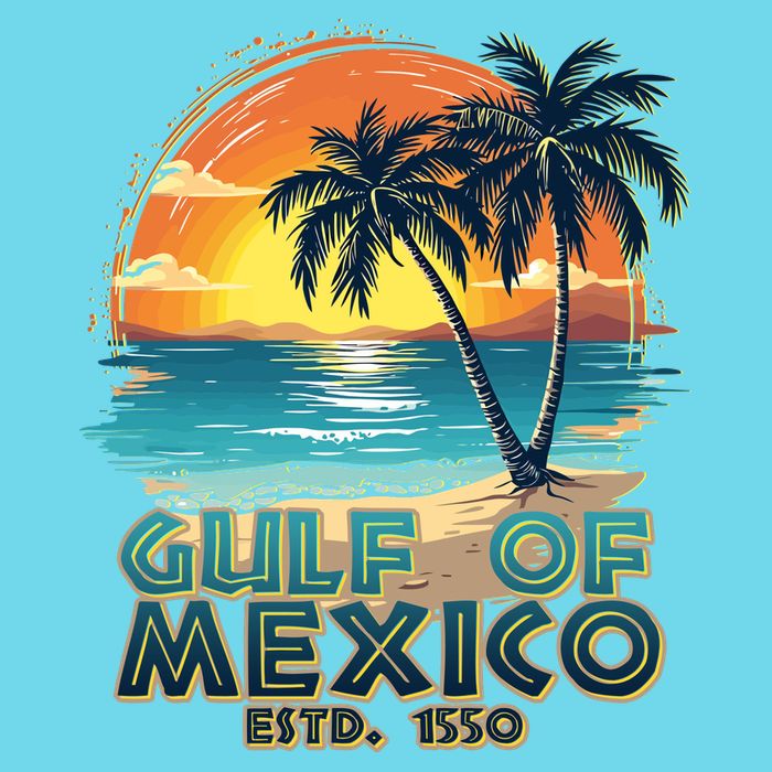 Vintage Beach Gulf Of Mexico Estd 1550 T-Shirt