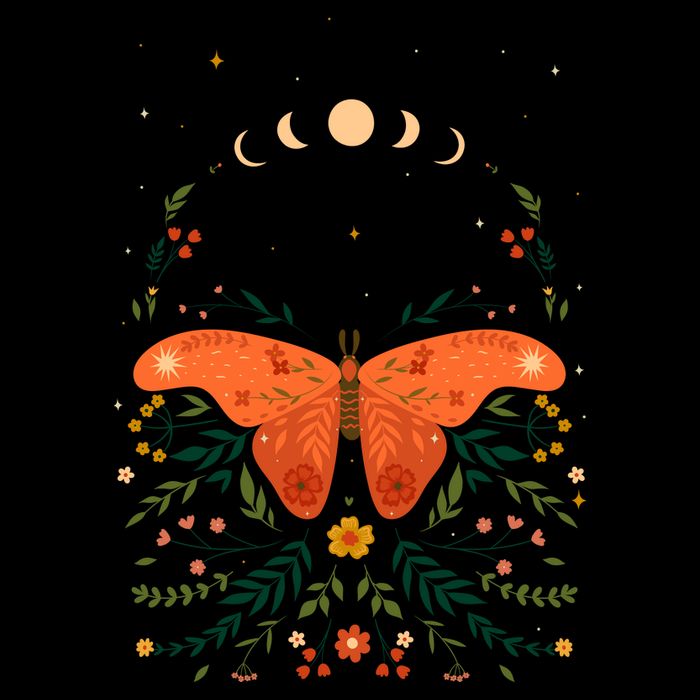 Vintage Boho Garden Moon Moth Womens T-Shirt