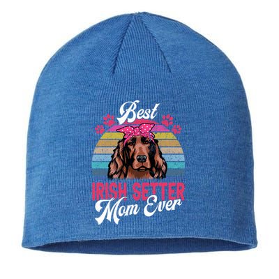 Vintage Best Irish Setter Mom Ever Gift Sustainable Beanie