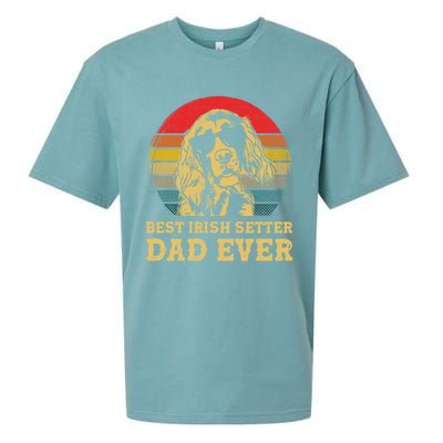 Vintage Best Irish Setter Dad Ever Dog Lovers Gift Sueded Cloud Jersey T-Shirt