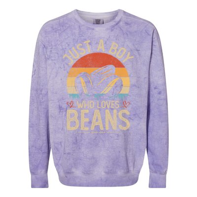 Vintage Beans Just A Who Loves Beans S Cool Gift Colorblast Crewneck Sweatshirt