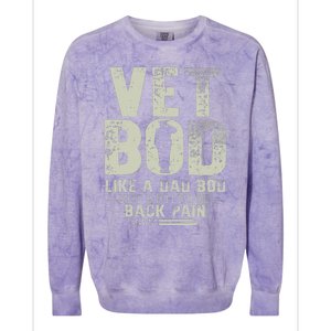 Vet Bod Like Dad Bod But With More Back Pain Fathers Day Colorblast Crewneck Sweatshirt