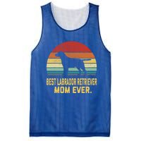 Vintage Best Labrador Retriever Mom Ever Gift Mesh Reversible Basketball Jersey Tank