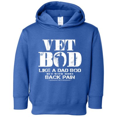 Vet Bod Like A Dad Bod But With More Back Pain Gift Toddler Hoodie