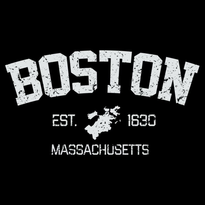 Vintage Boston Massachusetts Est 1630 Souvenir Gift Mug