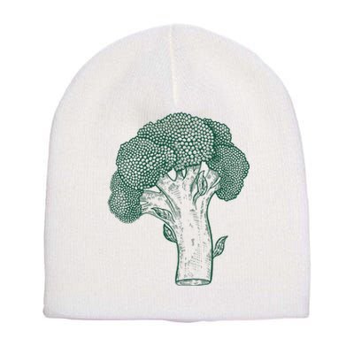 Vegetable Broccoli Retro Vintage Drawing Short Acrylic Beanie