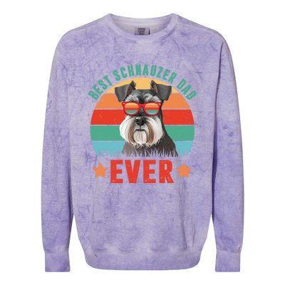 Vintage Best Schnauzer Dad Ever Dog Dad Daddy Fathers Day Meaningful Gift Colorblast Crewneck Sweatshirt