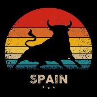 Vintage Bull Silhouette Spain Button