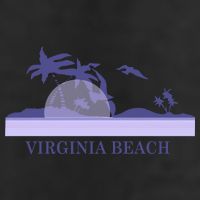 Virginia Beach 7 Panel Mesh Trucker Snapback Hat