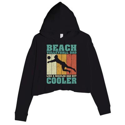 Vintage Beach Volleyball Dad Like A Regular Dad Fathers Day Gift Crop Fleece Hoodie