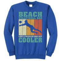 Vintage Beach Volleyball Dad Like A Regular Dad Fathers Day Gift Tall Sweatshirt