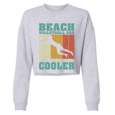 Vintage Beach Volleyball Dad Like A Regular Dad Fathers Day Gift Cropped Pullover Crew