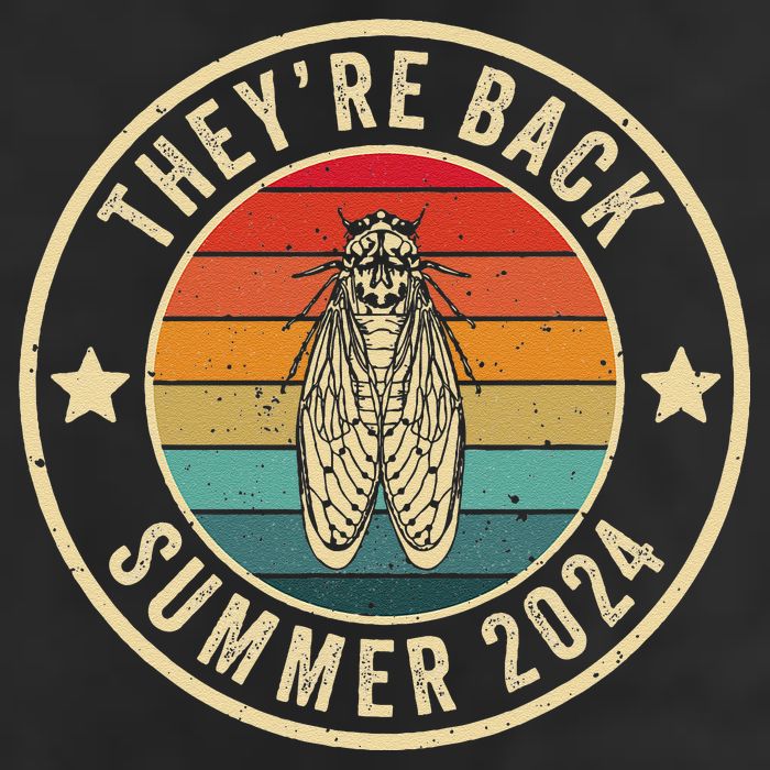 Vintage Cicada 2024 They Are Back Summer 2024 Hat